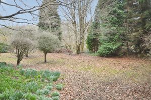 Photo 8- click for photo gallery